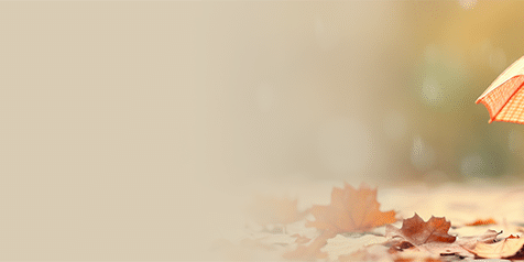 Autumn Statement piggy bank with yellow umbrella above it on a pile of leaves