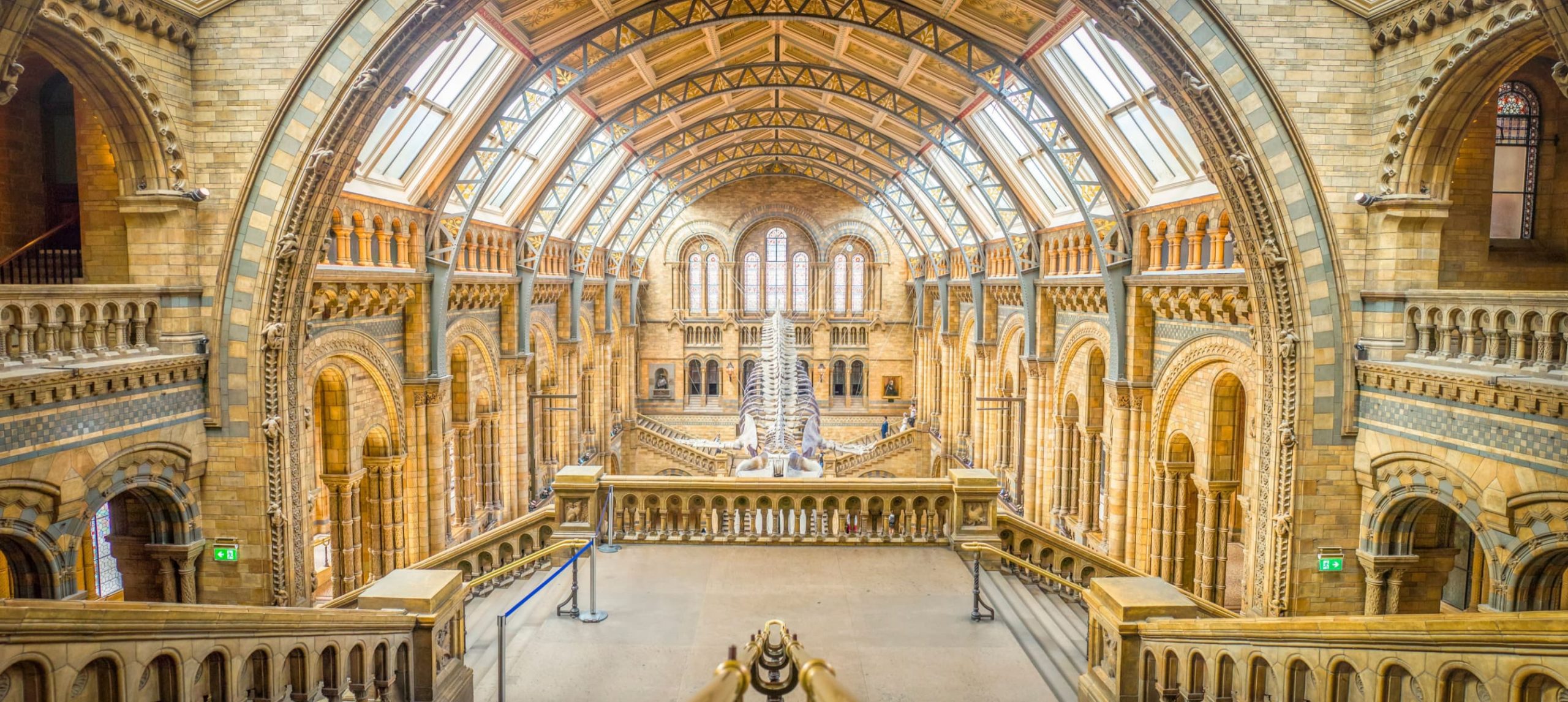 Image of the dinosaur at the Natural History Museum in London.