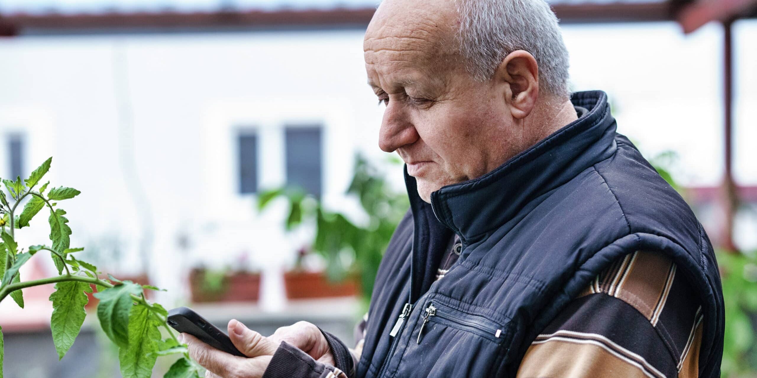 Senior man texting with smart phone