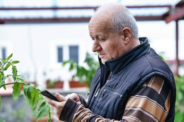 Senior man texting with smart phone