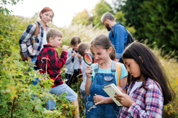 Children on a school trip looking at flowers